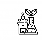 Director for Belgian Polymer Architecture Scale-up Company 