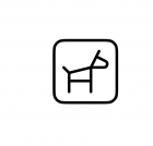 Veterinary services startup 