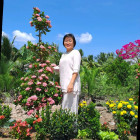 Hương, Bùi Quế 