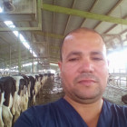 Dr.Ibrahim Haggag Ahmed 