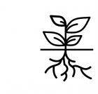 Urban gardening solution 