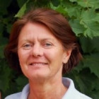 Lena Brandt-Persson