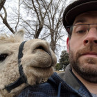 🦙 Steven Harrison
