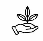 Agricultural exporter from India seeking advisors for expansion in Europe